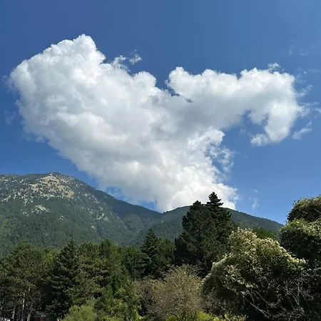 Sea La Vie Vlorë