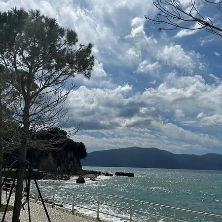 Sea La Vie